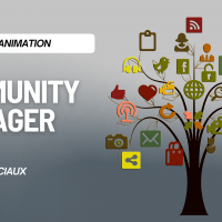 Community manager 6